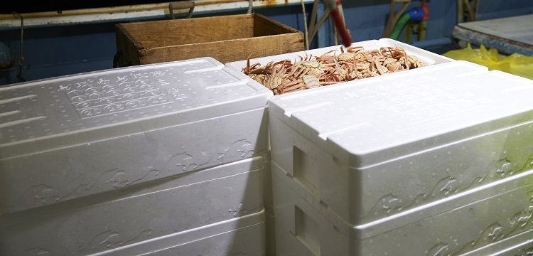 求問毒理未來的前景在何方 ?關(guān)于第三檢測行業(yè)，食品檢測、消費品檢測和環(huán)境檢測，業(yè)務(wù)的開發(fā)方向有什么差異。 