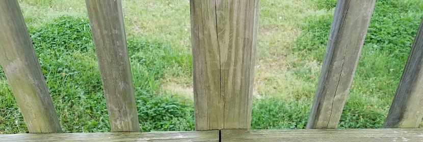 國內外玩具檢測標準都有哪些，分別是測試哪些項目?玩具檢測各個國家的認證標準是什么 ?健明迪