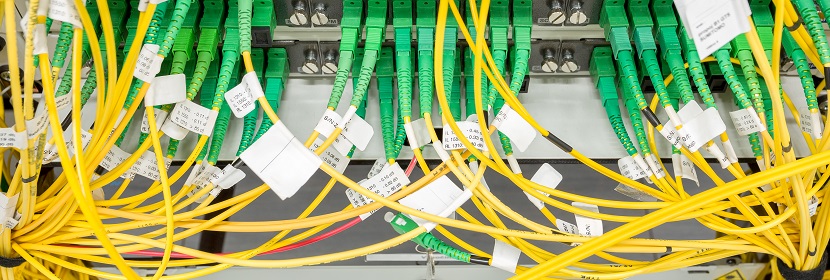 公共衛生考研，這是最好的時期?。?！?【2022為民實事系列評論】筑牢公共衛生防護網，是須臾不可放松的大事 健明迪檢測