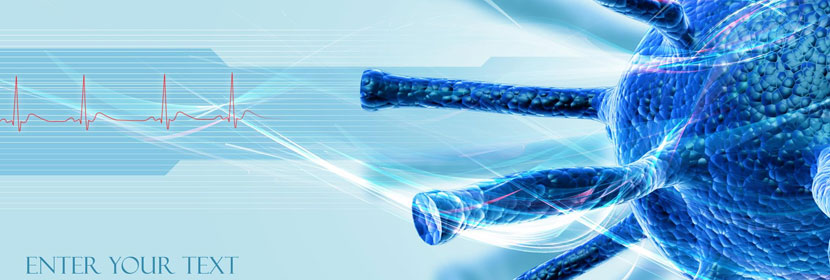 病毒殺滅試驗(yàn)