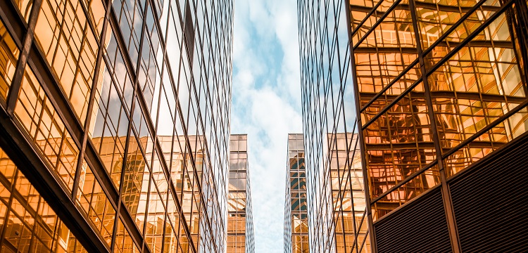 雙宮絲檢測(cè)