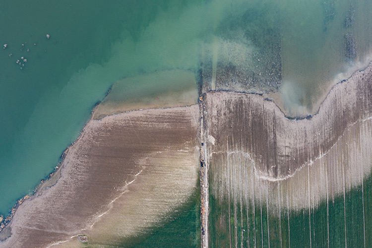 金屬剪切力檢測(cè)