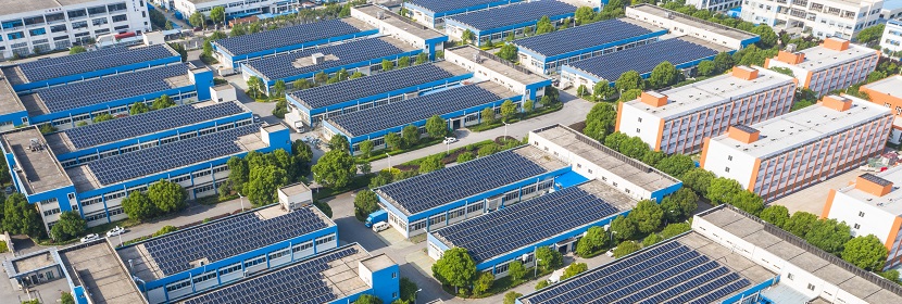 殺鈴脲檢測(cè)