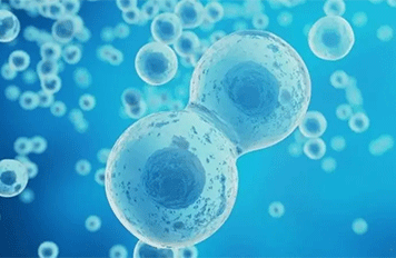 高鋁磚檢測(cè)