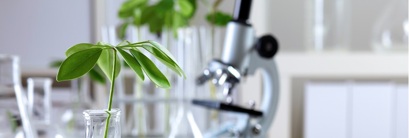 次氯酸鈣檢測(cè)