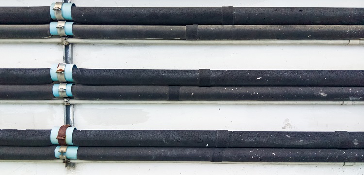 赭曲霉素檢測(cè)