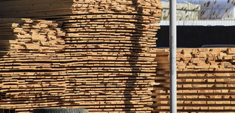 脂氧合酶檢測(cè)