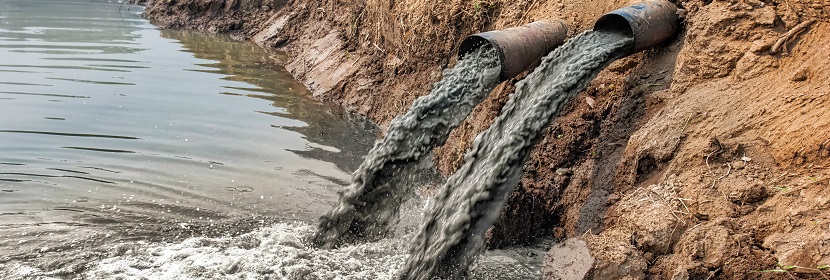 魚類延長毒性14天試驗