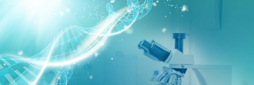 可曲撓橡膠接頭環保產品檢測